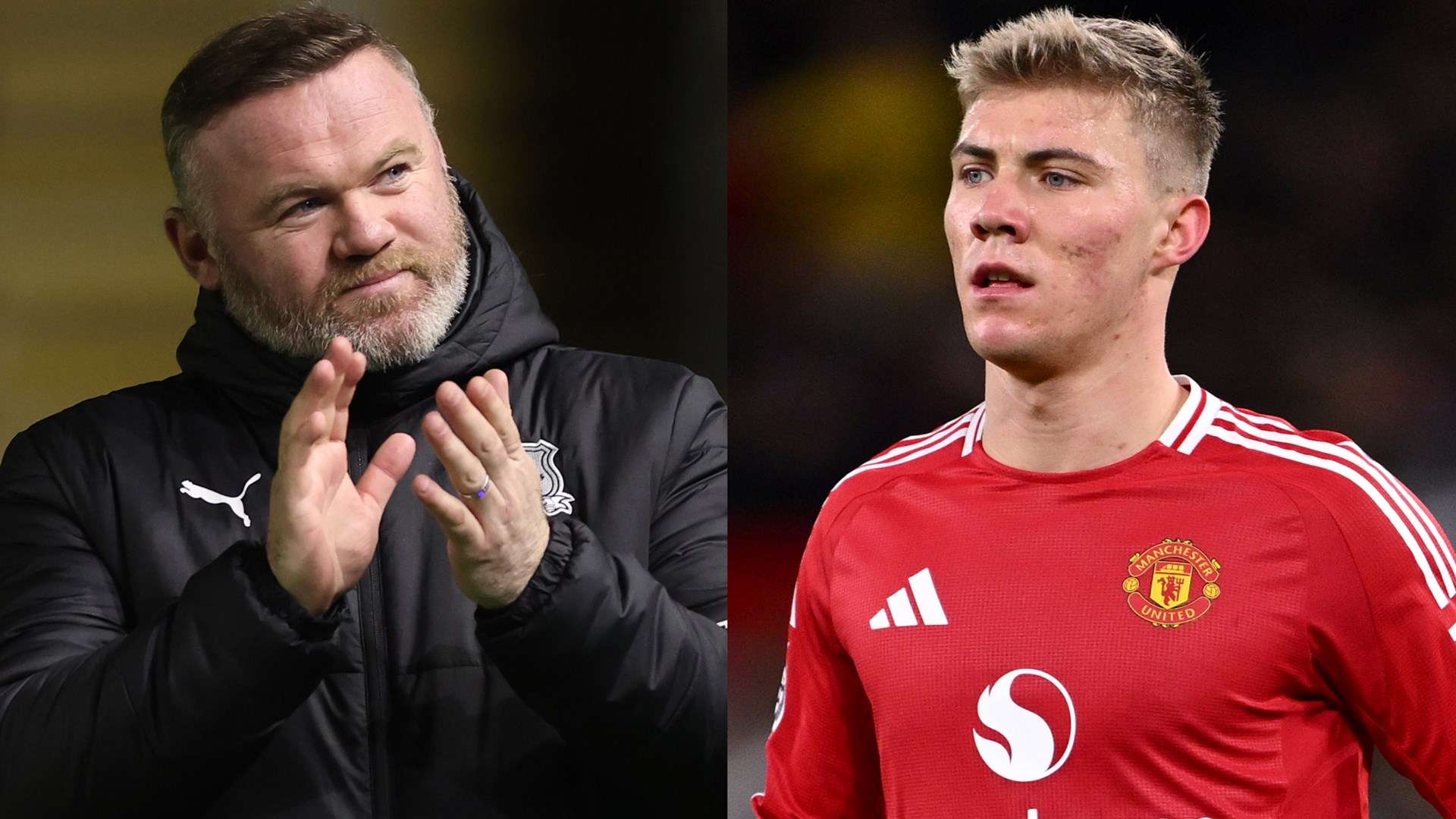 这些游客不 这些游客不