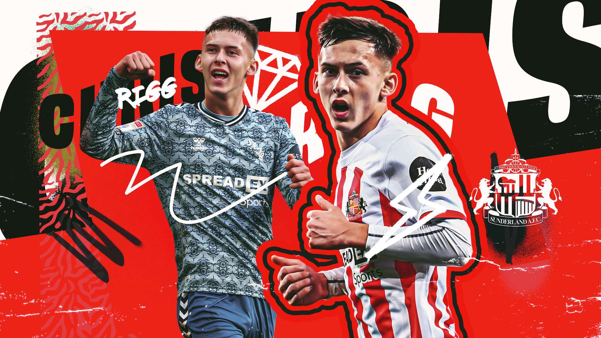 的是这种训 的是这种训